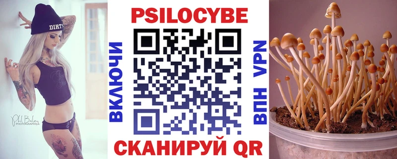 купить наркотик  mega как войти  Псилоцибиновые грибы Psilocybine cubensis  Новокузнецк 