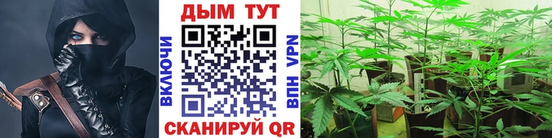 дарнет шоп  Новокузнецк  Бошки марихуана VHQ 